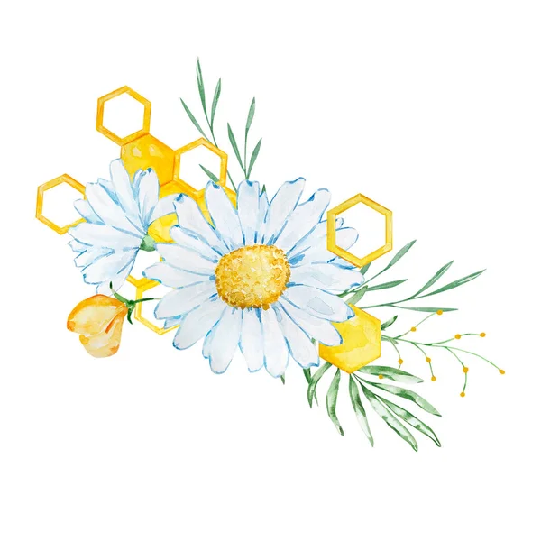 Bouquet Watercolor Chamomile Honeycombs Invitation Design — Fotografia de Stock