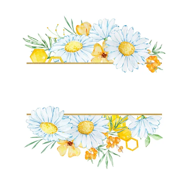 Frame Banner Watercolor Daisies Leaves Honeycomb — Fotografia de Stock