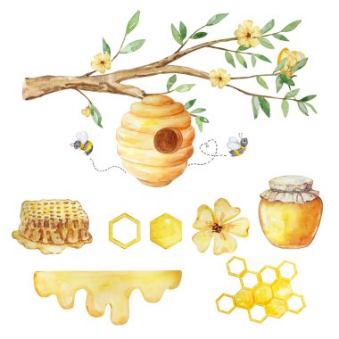 Beyaz arka planda suluboya bal seti, arı kovanı, bal ve arılar
