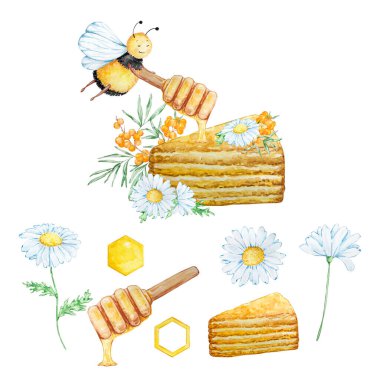 Suluboya bal seti, bal pastası ve beyaz arka planda izole edilmiş papatya çayı.