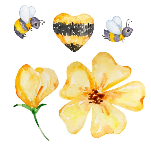 Watercolor Honey Set Bees Yellow Flower Bud Isolated White Background — стоковое фото