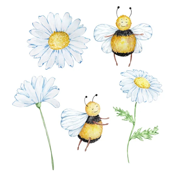Sada Akvarel Medu Včely Sedmikrásky Bílém Pozadí — Stock fotografie