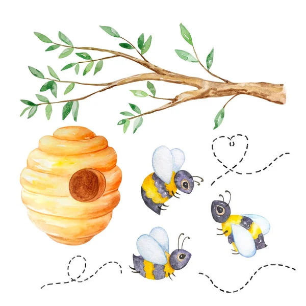 Watercolor Honey Set Tree Branch Beehive Bees White Background — 图库照片