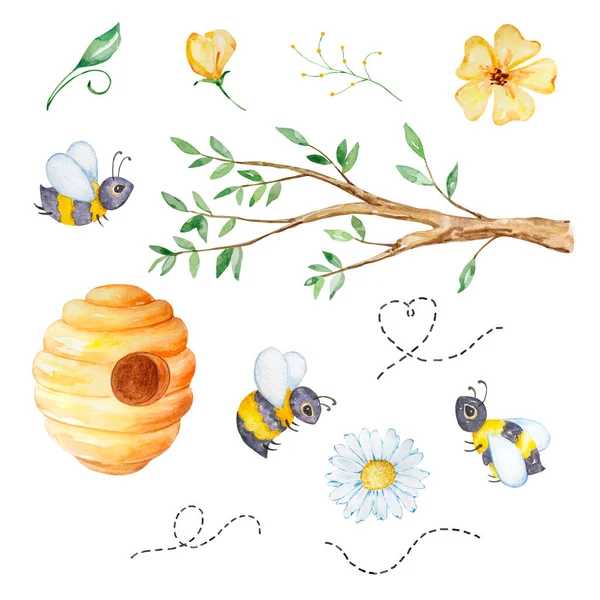 Watercolor Honey Set Tree Branch Beehive Flowers Bees White Background — Stockfoto