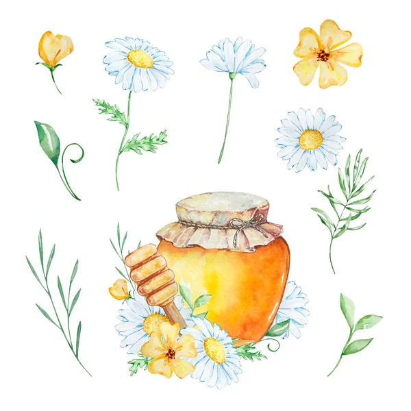 Watercolor Honey Set Honey Jar Daisies Flowers White Background — стоковое фото