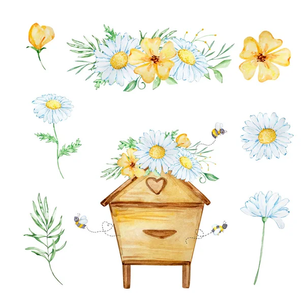 Watercolor Honey Set Beehive Bees Bouquet Chamomile White Background — 스톡 사진