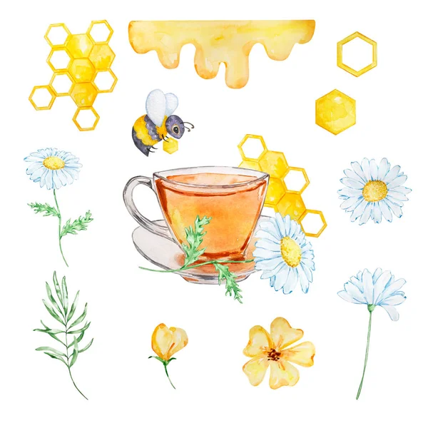 Watercolor Honey Set Cup Bee Honey Chamomile Isolated White Background — 스톡 사진