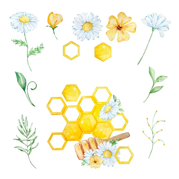Aquarell Honigset Waben Kamille Und Blumen Auf Weißem Hintergrund — Stockfoto