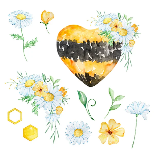 Watercolor Honey Set Black Orange Heart Bouquet Daisies White Background — 스톡 사진