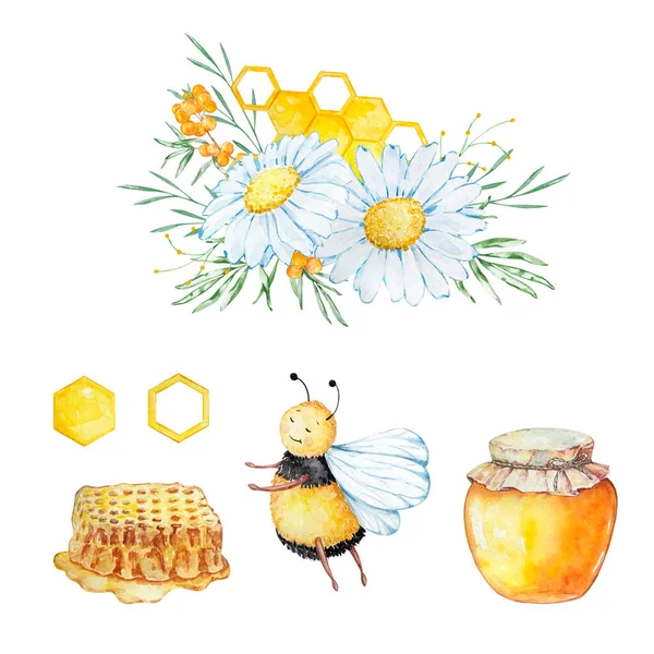 Sada Akvarelů Včely Voštiny Kytice Heřmánku Bílém Pozadí — Stock fotografie