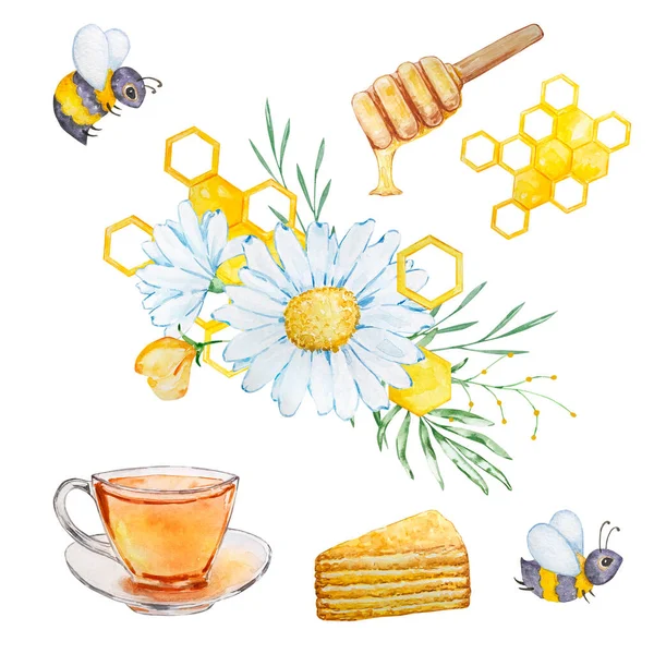 Watercolor Set Bees Honeycombs Bouquets Chamomile White Background — ストック写真