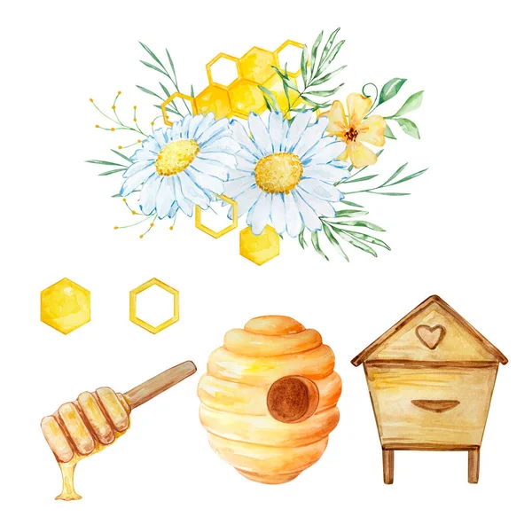 Watercolor Set Beehive Honeycombs Bouquets Daisies White Background — 图库照片