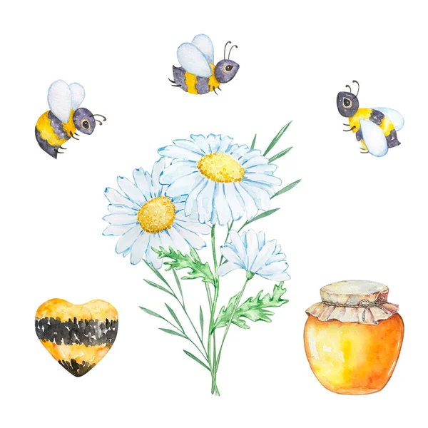 Watercolor Set Bees Honey Bouquets Chamomile White Background — Stockfoto