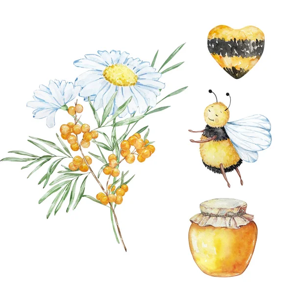 Watercolor Set Bees Honey Bouquets Chamomile White Background — Stockfoto