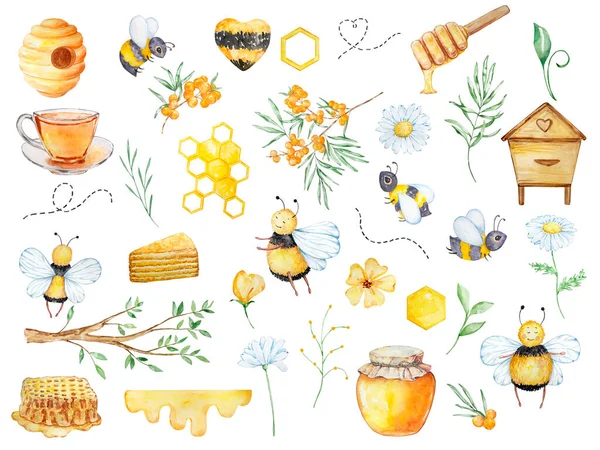 Watercolor Big Honey Set Bees Honeycombs Honey Beehive Chamomile Branch — ストック写真