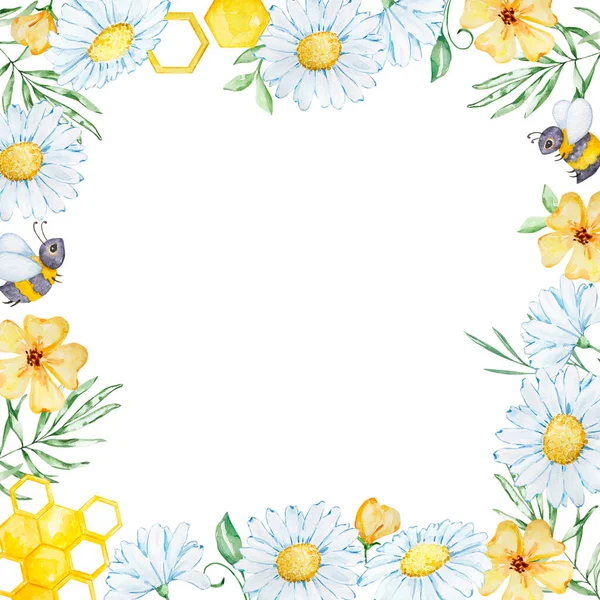 Floral Frame Watercolor Chamomile Leaves Bees Honeycombs — Fotografia de Stock