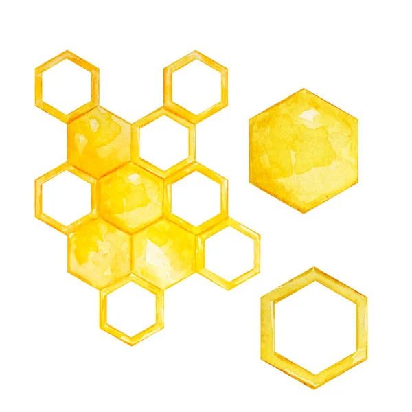 Watercolor Honey Set Different Honeycombs White Background — Stock fotografie