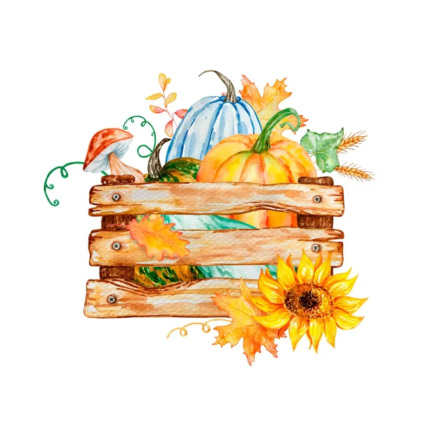 Watercolor Illustration Autumn Pumpkins Wooden Box Composition White Background — Fotografia de Stock