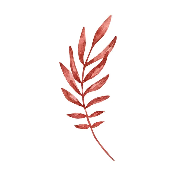 Υδατογραφία Απεικόνιση Του Κλάδου Κόκκινα Φύλλα Απομονώνονται Λευκό Φόντο — Φωτογραφία Αρχείου