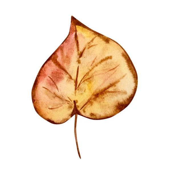Beyaz Arkaplanda Izole Edilmiş Sonbahar Yaprağının Suluboya Çizimi — Stok fotoğraf