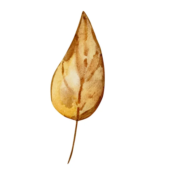 Akvarel Ilustrace Podzimního Listu Izolované Bílém Pozadí — Stock fotografie
