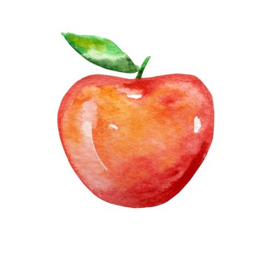 Watercolor illustration red apple isolated on white background
