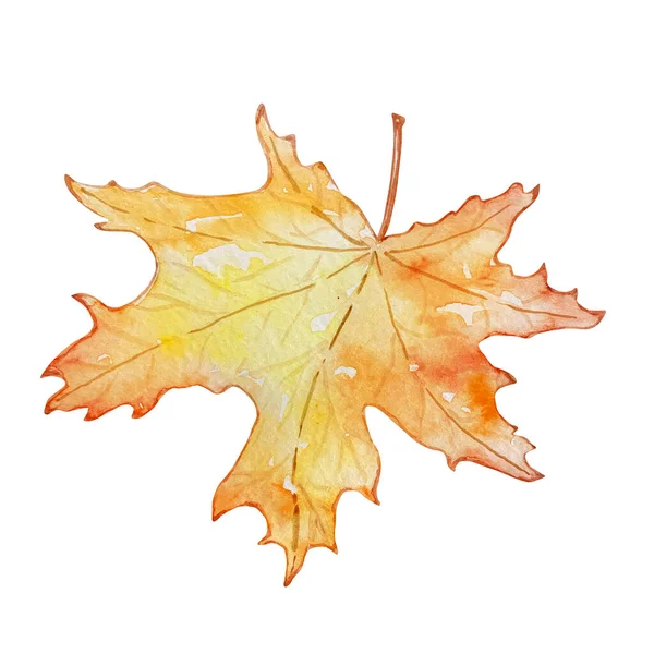 Watercolor Illustration Autumn Leaf Isolated White Background — Photo