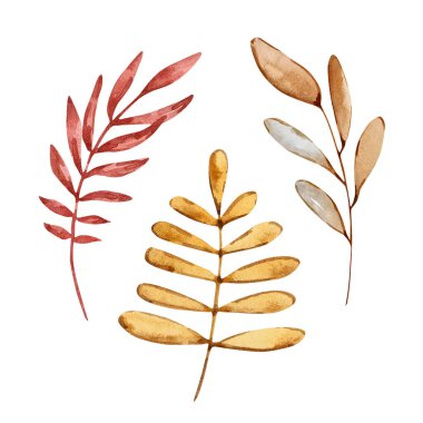 Watercolor set of cozy autumn, cute elements isolated on white background