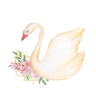 Bir buket gülle suluboya beyaz kuğu