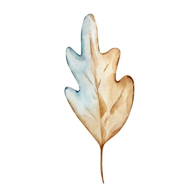 Watercolor illustration of autumn oak leaf isolated on white background