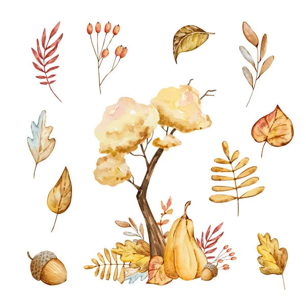 Watercolor Autumn Composition Tree Leaves Isolated White Background — Zdjęcie stockowe