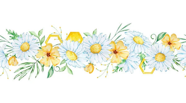 Seamless floral border with watercolor daisies, leaves and honeycombs
