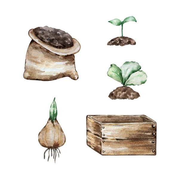 Watercolor Set Garden Wooden Box Sprouts Onions — Stock Fotó