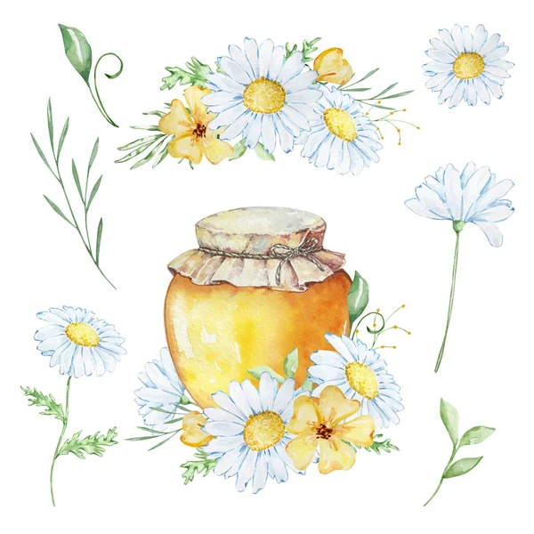 Watercolor Honey Set Jar Honey Bouquet Daisies White Background — стоковое фото