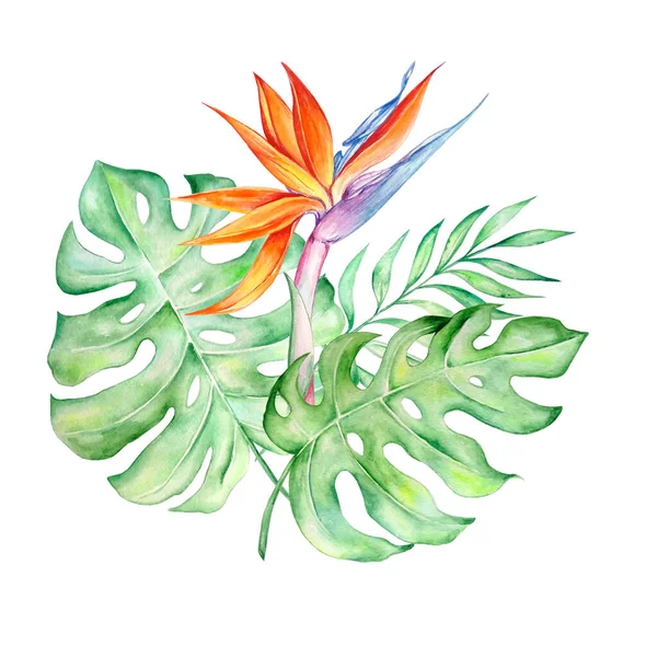 Çiçek ve tropik yapraklardan oluşan suluboya tropikal buket