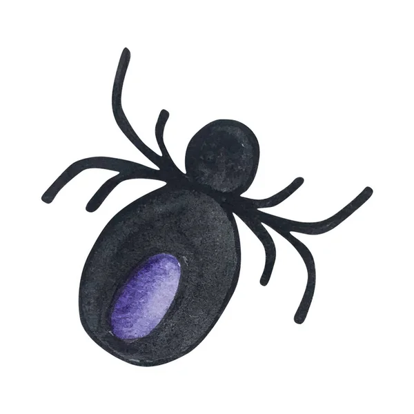 Акварельна Ілюстрація Чорний Павук Ізольований Білому Тлі — стокове фото