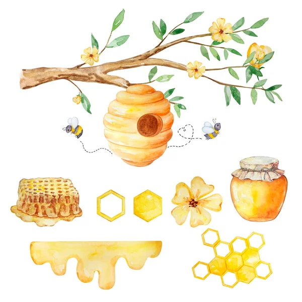 Watercolor Honey Set Beehive Honeycombs Honey Bees White Background — ストック写真