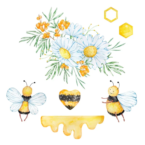 Sada Akvarelů Včely Voštiny Kytice Heřmánku Bílém Pozadí — Stock fotografie