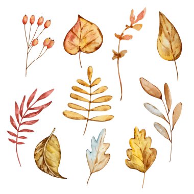 Watercolor set of cozy autumn, cute elements isolated on white background