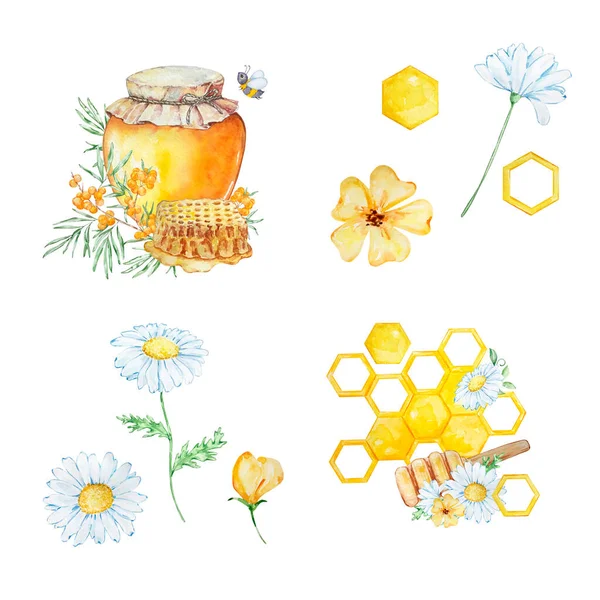 Watercolor Set Honey Honeycombs Daisies White Background — Stockfoto