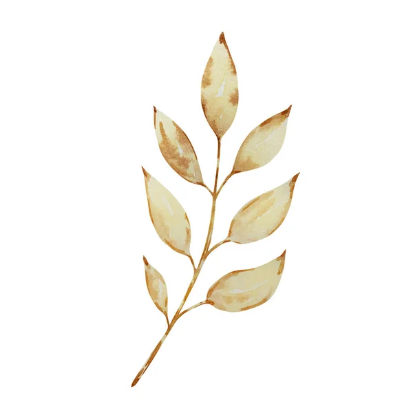 Akvarel Podzimní Větev Suchými Béžovými Listy Izolované — Stock fotografie