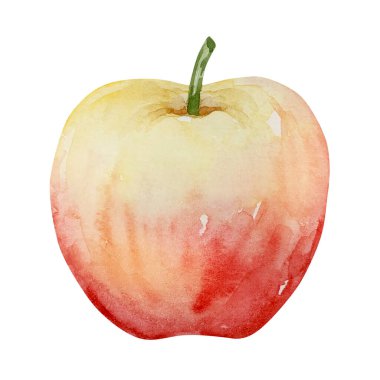 suluboya sonbahar sarı kırmızı olgun elma izole