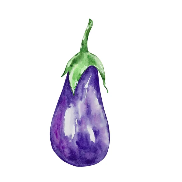 Akvarell Höst Lila Grönsaker Aubergine Isolerad — Stockfoto