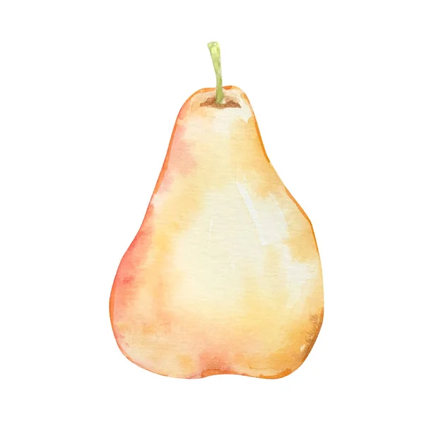 Watercolor Autumn Fruit Light Yellow Pear Isolated — Stock Photo, Image