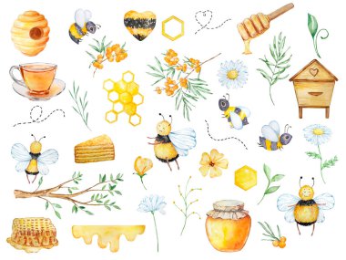 Watercolor big honey set, bees, honeycombs, honey, beehive, chamomile, branch and flowers on a white background