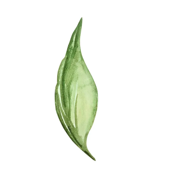 Watercolor Tropical Green Leaf Isolated White Background — Foto de Stock