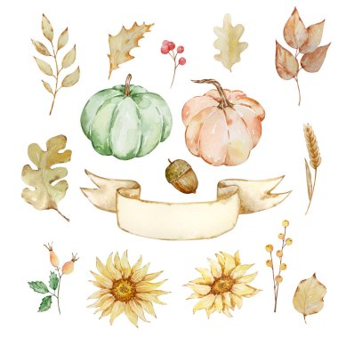 Şükran Günü suluboya elementleri, balkabakları, ayçiçekleri ve yaprak izole edilmiş