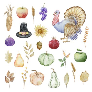 Şükran Günü suluboya elementleri, hindi, meyve ve balkabağı izole edilmiş.