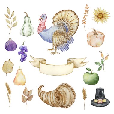 Şükran Günü suluboya elementleri, cornucopia, hindi ve balkabağı izole edilmiş.