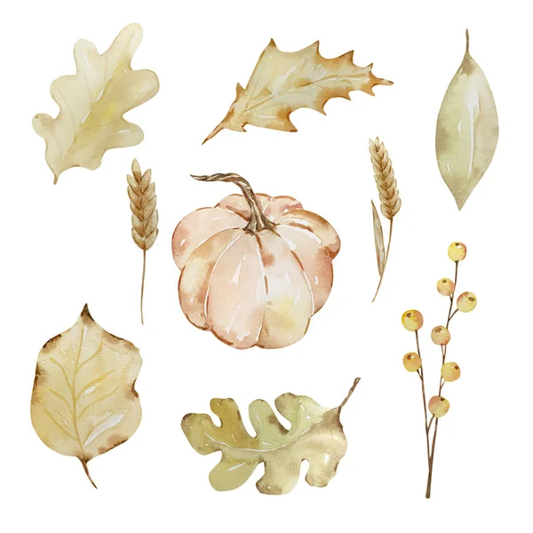 Thanksgiving watercolor elements, autumn leaves and pumpkin isolated